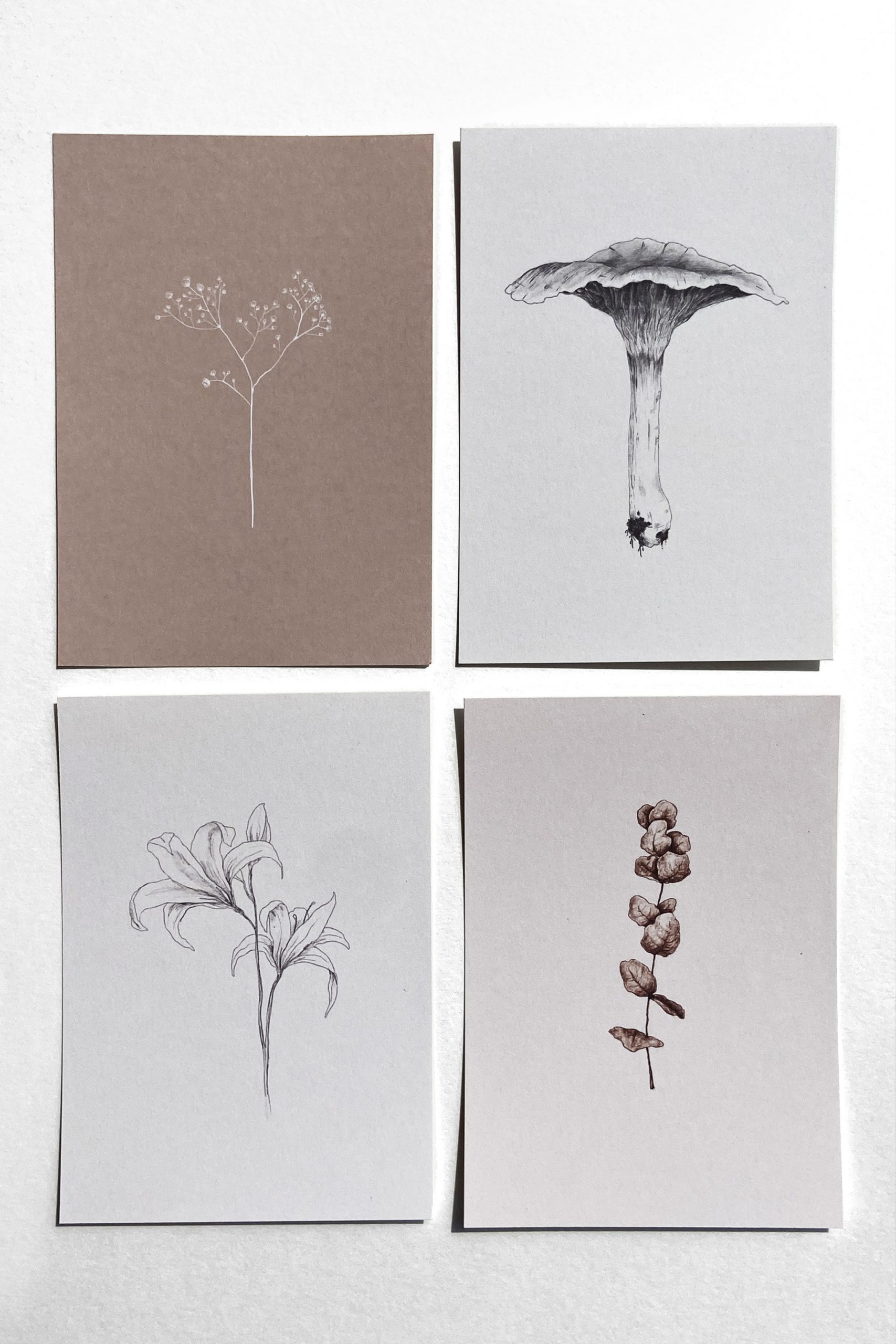 pack3.3
