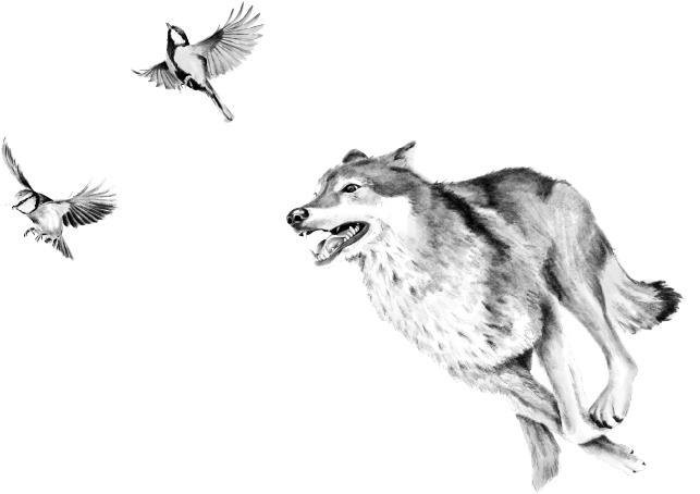 Nus for Design_Tattoo_Skin Storyteller