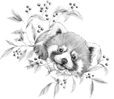 Nus for Design_Tatuaje