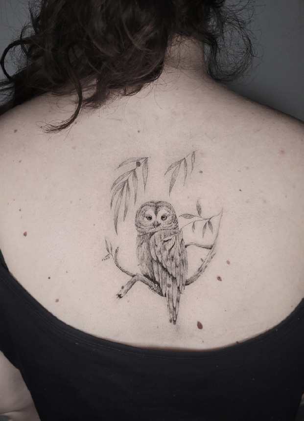 Nus for Design_Tatuaje_Buho