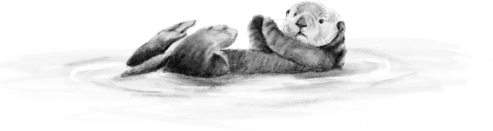 Nus for Design_Tatuaje_Nutria