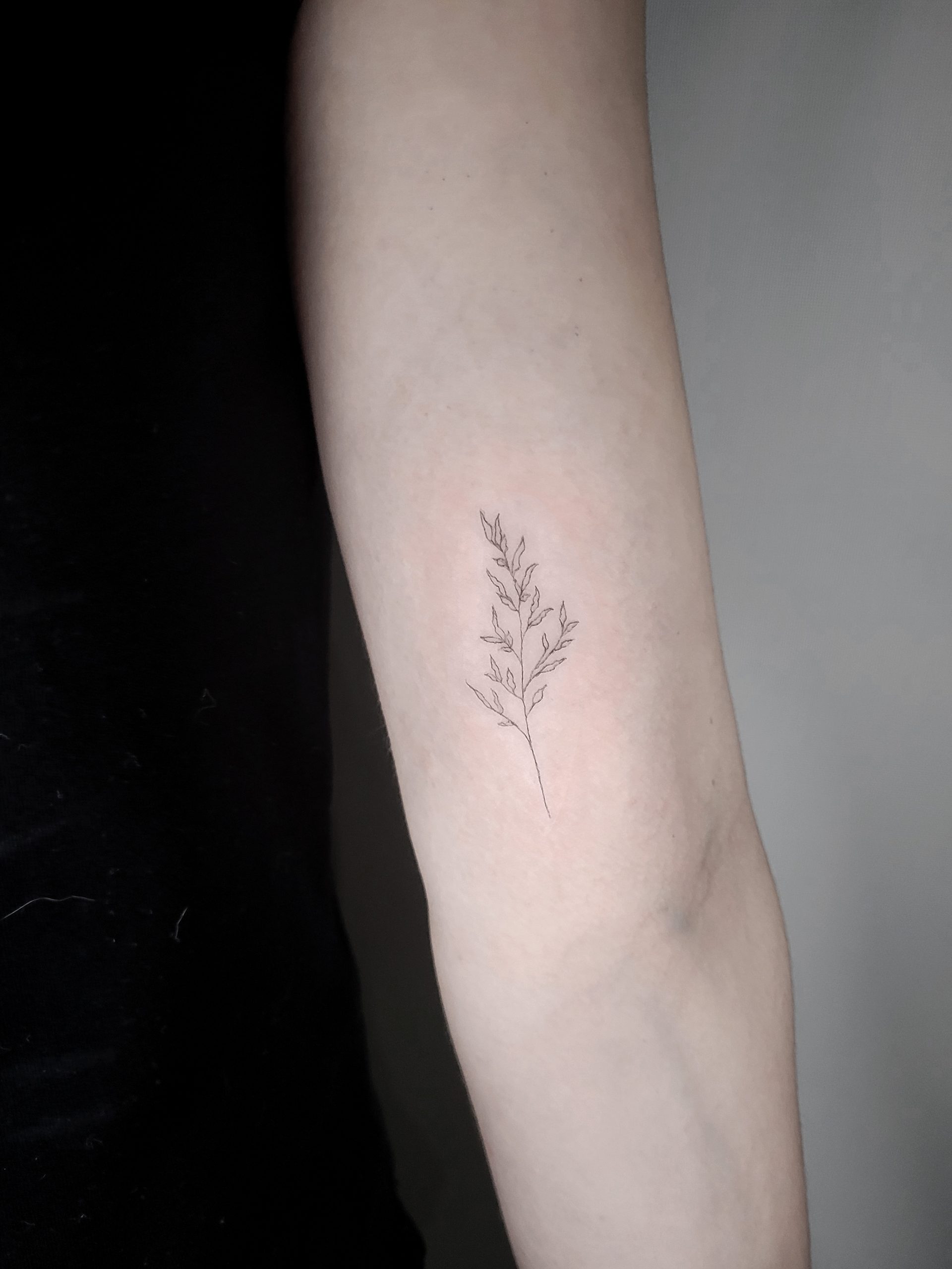 nus for design tattoo